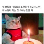 친구가 노는데 자꾸 엄마랑 전화하면 어떰