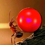 [댓글부탁해] 랑방 <b>모던</b>프린세스 어떰????