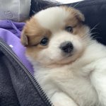 [19] 진짜 자기 <b>주량</b>도 모르면서 술 퍼마시는거