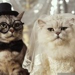 신세경 <b>정돈</b> 되야