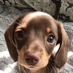 포토이즘에서 사진 찍었는데 <b>문자옴</b>