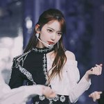 내 돌들의 <b>치명적</b> 매력