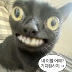 근데 수능 막 100일 50일 공부해서 성공한 사람들은