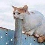 우리만 방학 안했어