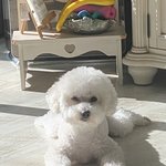 나 찼던 전남친이 다시 나 잡는데 어떡해..