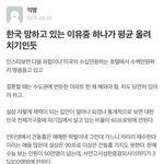 판<b>녀들</b>이 읽으면 좋겠는 짤