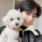 [엔하이픈] 나는 가을이 점잖은 <b>강아지인</b>줄
