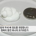 방탄이 선크림 권<b>장량</b> 제일 잘 지킴ㅋㅋㅋㅋㅋㅋ