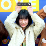 [뉴진스] 뉴진스 하니 토끼네 찐시