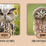 인스타 스토리 캡쳐 알람<b>오네</b>