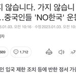 중국인들 '<b>NO</b>한국'운동중이래