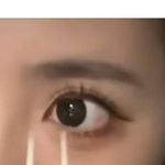 나 렌즈<b>전후</b>차이 거의 이 사람급임