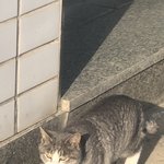 [19] 나 <b>판</b>밍아웃 당한거 아직 생각남