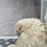 장애인은 그냥 특수학교 가면 안 되나