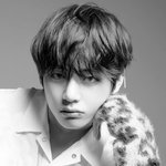 [모두드루와] 김태형vs차<b>은우</b> 중에 누가 더 잘생김?
