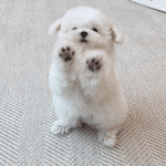 [NCT드림] 삶이 힘들땐