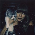 테일러 스위프트의 고양이를 소개합니다