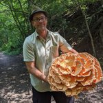 야생에서 얻은 놀라운 식<b>재료들</b>?!