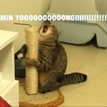 [방탄소년단] 민윤기 상탈에 정신없는 <b>와중</b>에