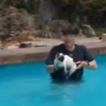 <b>연쇄</b> 살인 피해자 공통점