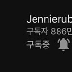 블핑 지수만 재질 다른거 봐봨ㅋㅋㅋㅋㅋㅋㅋ