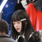 구찌 팜하니 귀여웡..