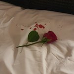 [남자친구] 남친정체를 알고나서 잡혀살고있는데 헤어나오질 못하고있어요ㅠ