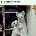 [댓글부탁해] 예비고1 머해야됨?