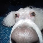 [19] 배라 박사님들 도와주십쇼…!