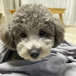 쌍수 2일차 라인봐줘!!!