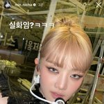 <b>골디</b> 대상 안주면 아이들 난리날텐데