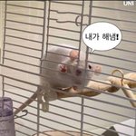 [댓글부탁해] 너네 <b>알바몬</b>에 사진 넣음?