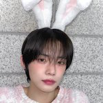 오늘 인가 연준 토끼 그<b>잡채</b>ㅠㅠㅠㅠ