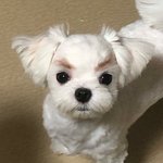 예비 고2 인강 <b>패스</b>머끊지