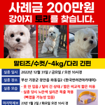 <b>부산</b> 기장쪽 사시는 분!
