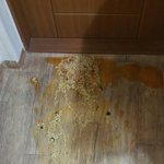 [댓글부탁해] ㅈㄴ 깜짝놀라서 <b>라면</b> 엎음ㅋㅋ
