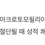 [댓글부탁해] 이 페티쉬는 인생에서 4번밖에 <b>흥분</b>못함?