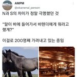 <b>NS</b> 구별법 이거 나름 신뢰도있는듯