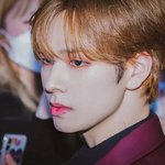 멋드러진 석고상 같은 <b>견고</b>한 이목구비