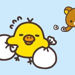 [댓글부탁해] 긱<b>사사</b>는 대학생한테 물어보고싶은거