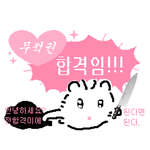 [드루와] 9잘수망 재수생 심심하니까 질문받음