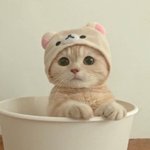 [댓글부탁해] 너네 같으면 쌍수 할?말?