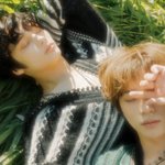 [모두드루와] 투바투 컨셉 클립 몽환 그 자체..