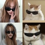 고먐미 해린