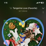 [NCT드림] 나 스밍플 끝나면 하고 싶은 거 있음!!