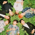 빅히트 <b>내리</b>사랑있어?