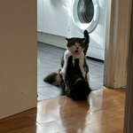 이해하기를 포기한 <b>생물</b>