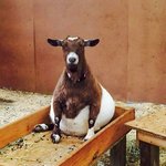 곧 출산을 앞둔 <b>대견</b>한 엄마들