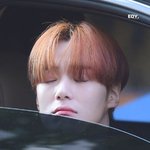 보송보송 취<b>저당</b>한 남돌 멍뭉미