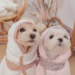 [댓글부탁해] 제주도 데이트 <b>코스</b>나 먹거리 알려주세요